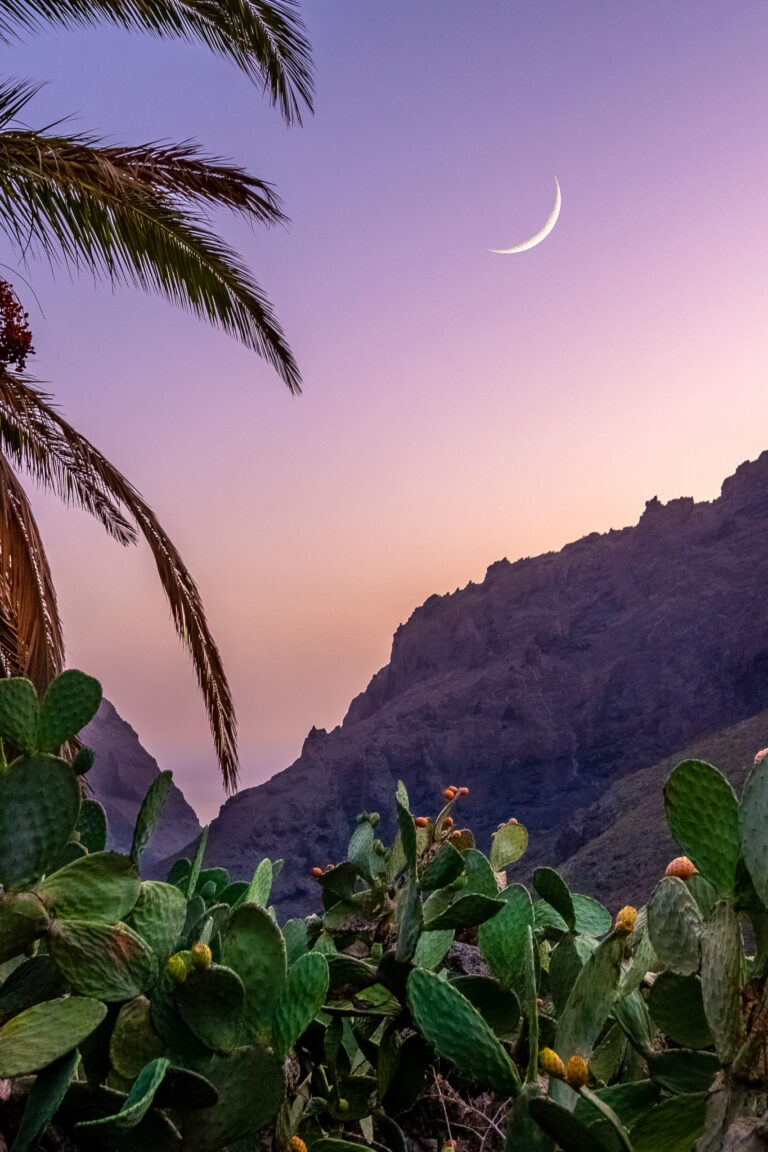 A7305317-HDR-Editar