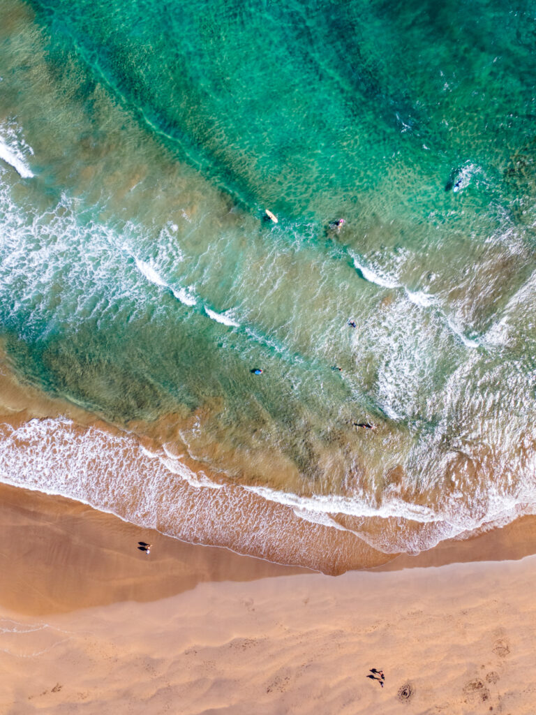 DJI_0456